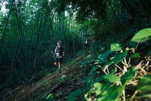 BIB: 
                            <button type="button" onclick="openModal(28124478)" class="btn btn-primary btn-sm float-right btn-popup" data-toggle="modal" data-target=".modal-high-quality">
                        <i class="fas fa-shopping-cart"></i> Add to Cart
                    </button>
                                            <button type="button" onclick="isThisMe(28124478, true)" class="btn btn-success btn-sm float-right btn-popup btn-isme hidden" data-toggle="tooltip" data-placement="bottom" title="นี่คือรูปของคุณใช่ไหม คลิกที่นี่เพื่อเอาเข้าอัลบั้ม">
                        <i class="fas fa-plus"></i> Add to album
                    </button>
                    <button type="button" onclick="isThisMe(28124478, false)" class="btn btn-warning btn-sm float-right btn-popup btn-isnotme hidden">
                        <i class="fas fa-ban"></i> Remove from album
                    </button>